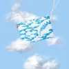FRIZIONE CROSSOVER SKYBORNE FRIZIONE CROSSOVER SKYBORNE